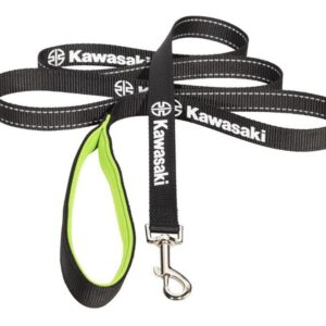 Dog Leash-image