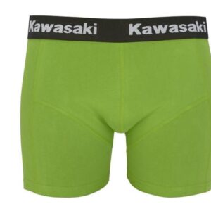 Boxer shorts-image