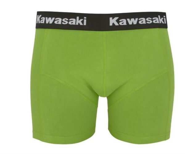Boxer shorts-image