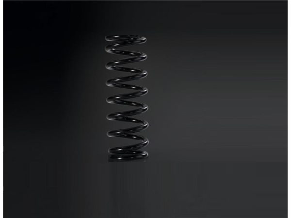 Optional spring for rear shock absorber-image
